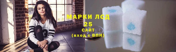 индика Михайловка