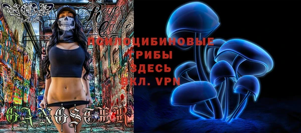 твердый Алзамай